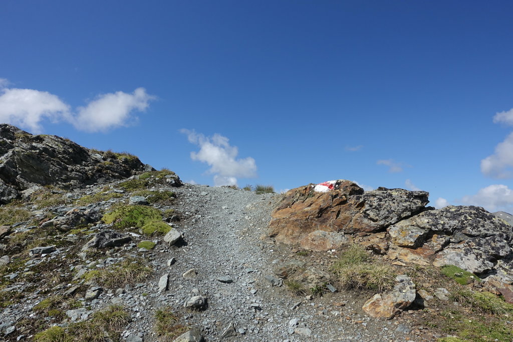 Moosalp, Augstbordhorn (29.06.2022)