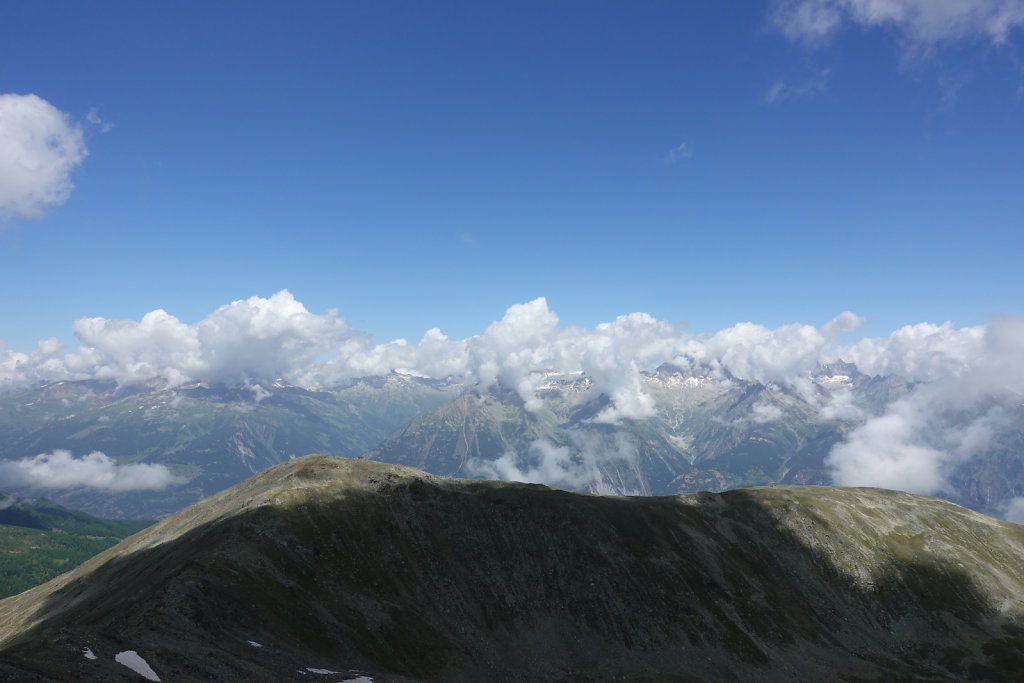 Moosalp, Augstbordhorn (29.06.2022)