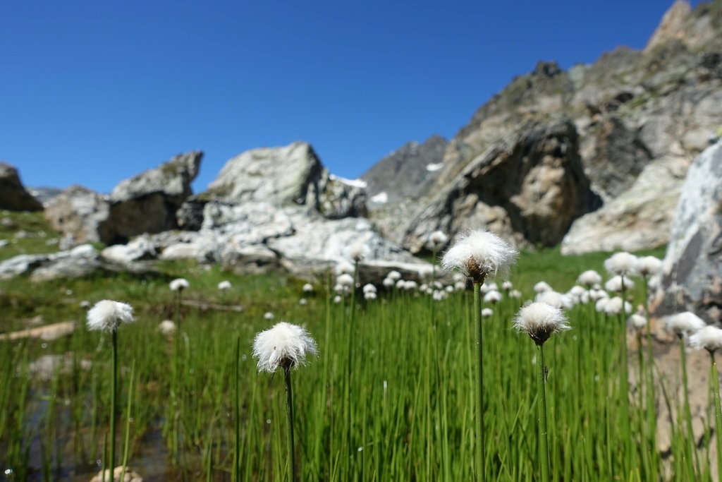 Grande-Dixence, La Barma, Col des Roux, Cabane de Prafleuri (02.07.2022)