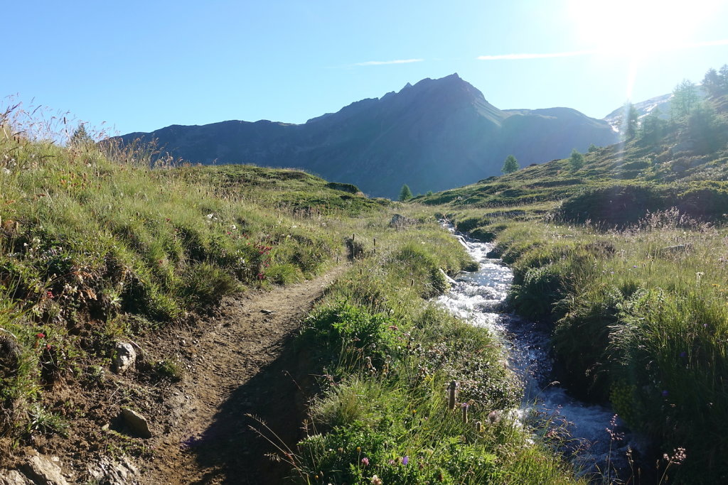 Simplon, Cabane de Monte-Leone (10.07.2022)