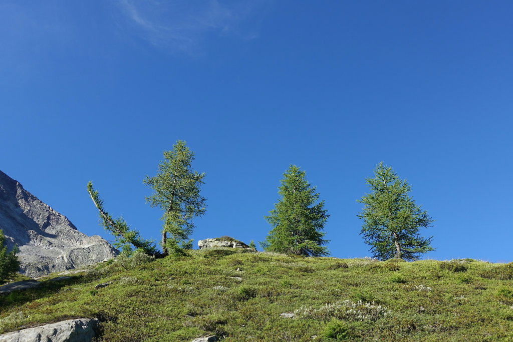 Simplon, Cabane de Monte-Leone (10.07.2022)