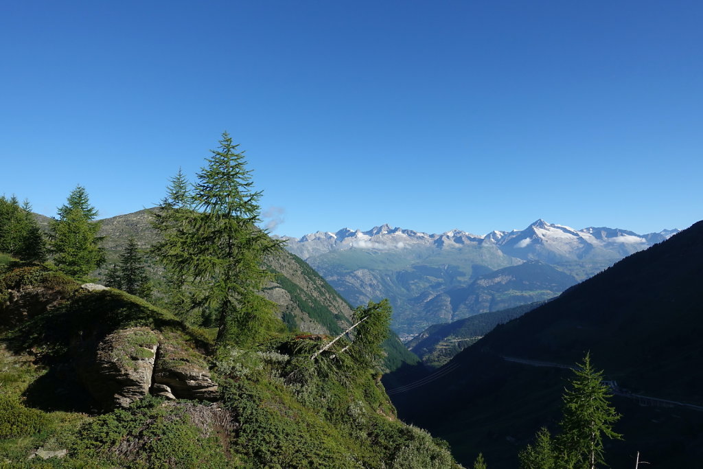 Simplon, Cabane de Monte-Leone (10.07.2022)