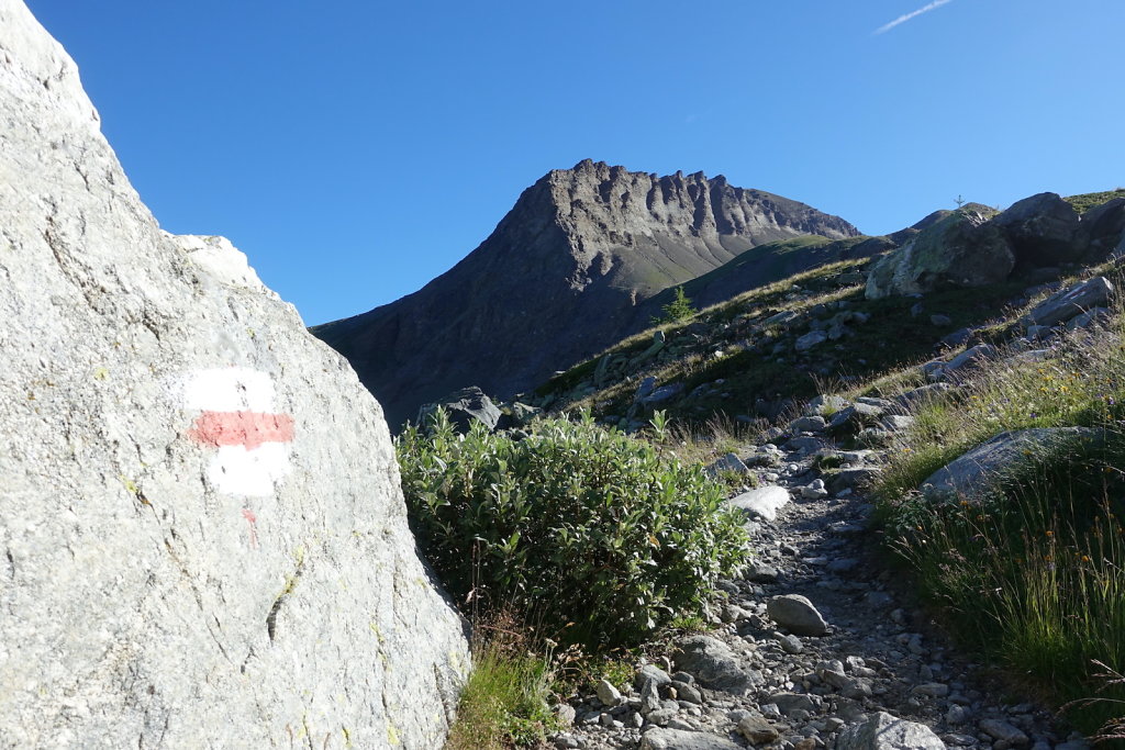 Simplon, Cabane de Monte-Leone (10.07.2022)