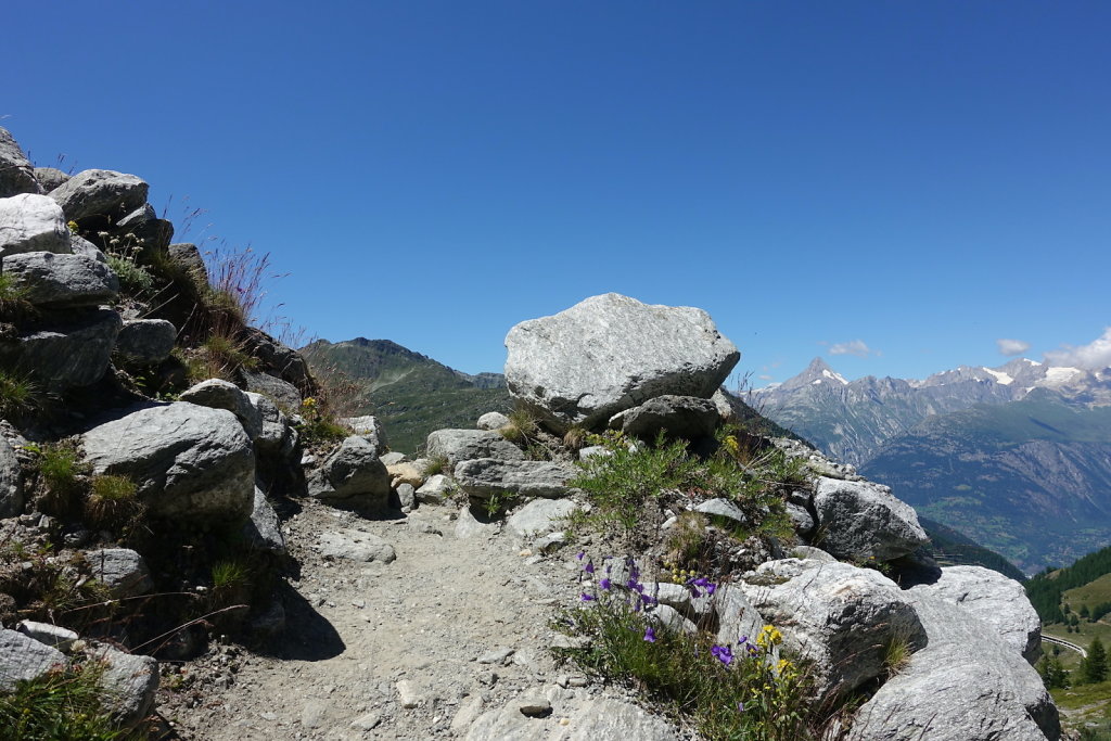 Simplon, Cabane de Monte-Leone (10.07.2022)