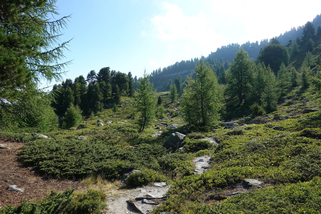 Tracouet, Dent de Nendaz, Pointe de Balavaux, Le Basso, Cabane de Balavaux (24.07.2022)