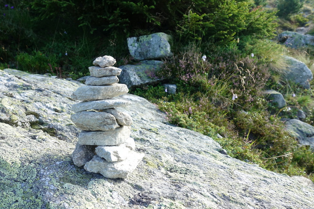 Tracouet, Dent de Nendaz, Pointe de Balavaux, Le Basso, Cabane de Balavaux (24.07.2022)