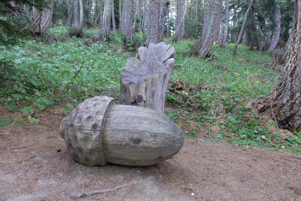 Rosswald, Folluhorn, Fülhorn (01.08.2022)