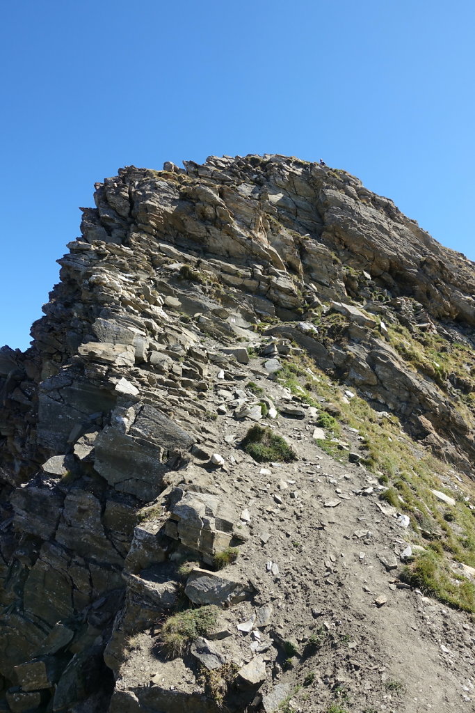 Rosswald, Folluhorn, Fülhorn (01.08.2022)