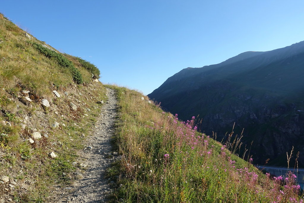 Moiry, Lac des Autannes, Col de Torrent, Sasseneire (13.08.2022)