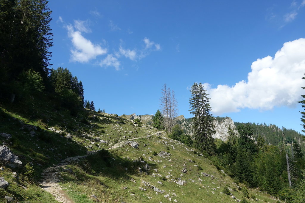 Schwarzsee (22.08.2022)