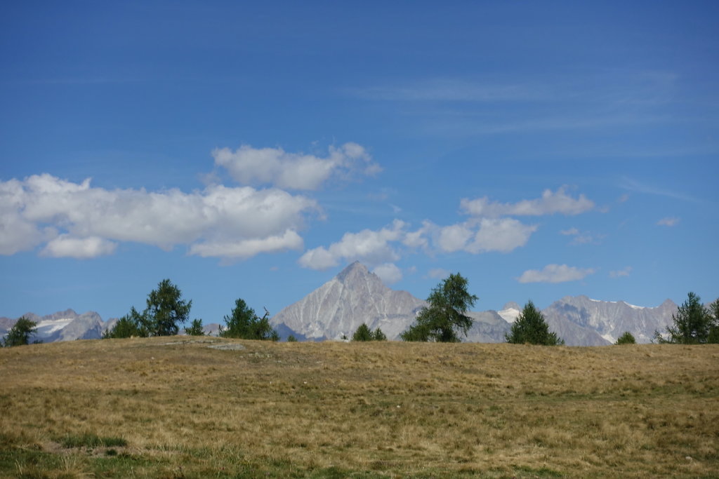 Moosalp, Panoramaweg (25.08.2022)