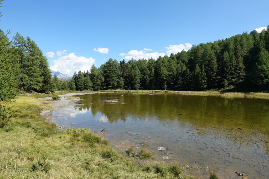 Moosalp, Panoramaweg (25.08.2022)