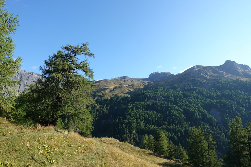 Trubelstock (04.09.2022)