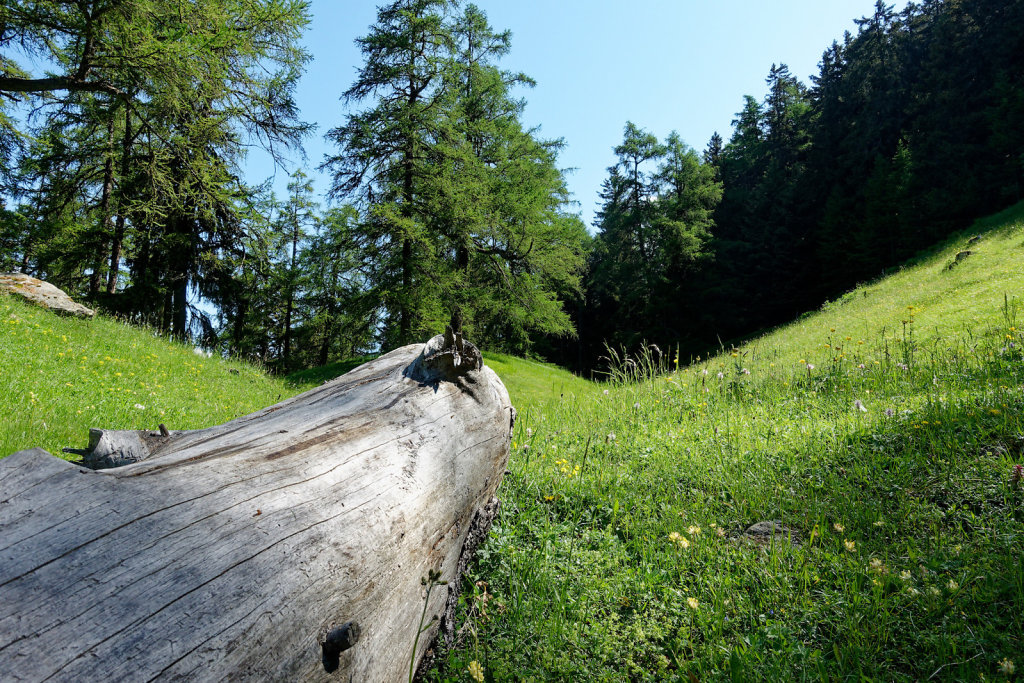 La Crevasse, Col des Planches (11.06.2023)