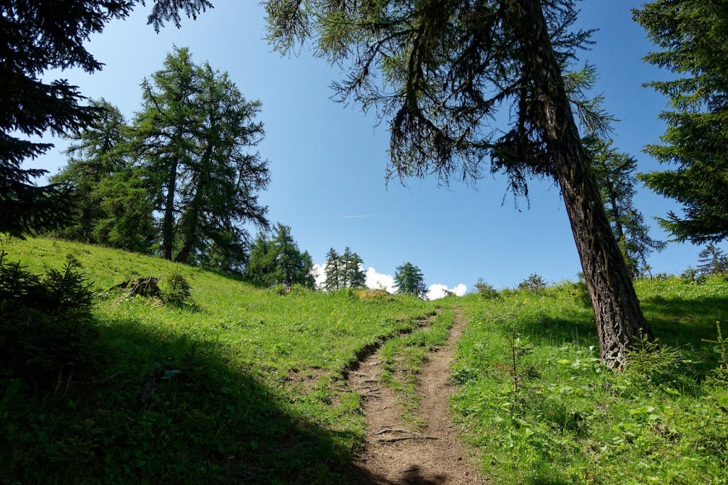 La Crevasse, Col des Planches (11.06.2023)