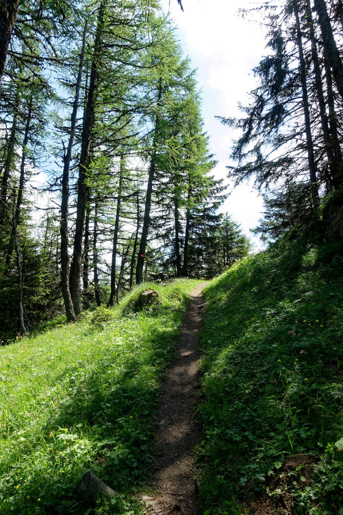 La Crevasse, Col des Planches (11.06.2023)