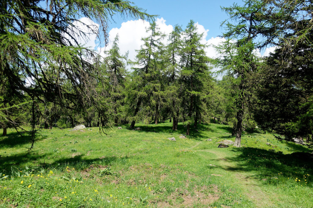 La Crevasse, Col des Planches (11.06.2023)