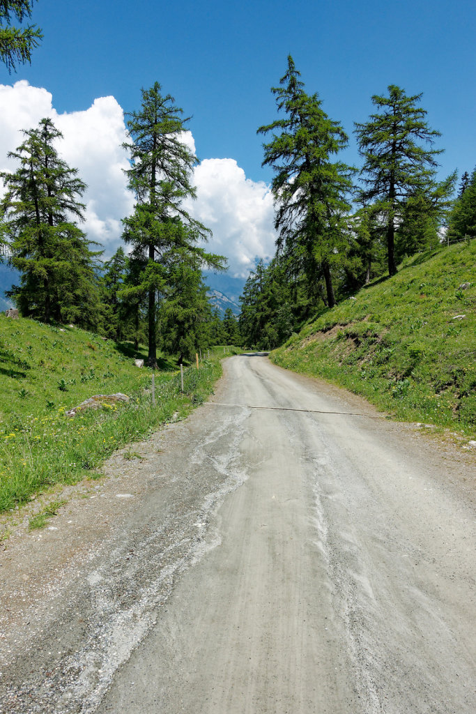 La Crevasse, Col des Planches (11.06.2023)