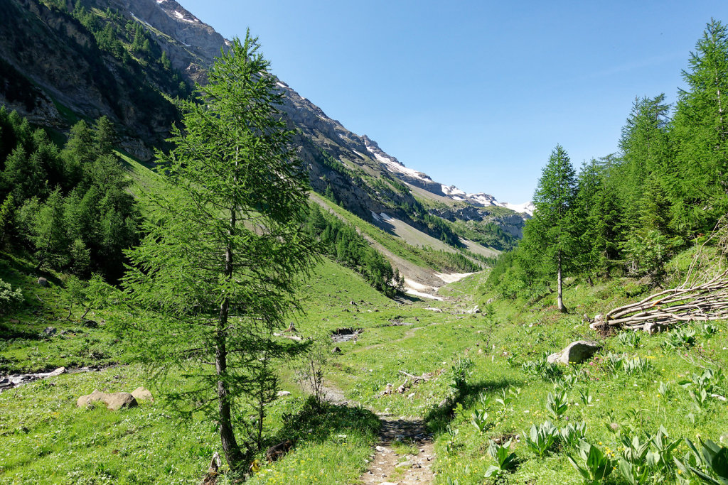 Gîte de Dorbon (24.06.2023)