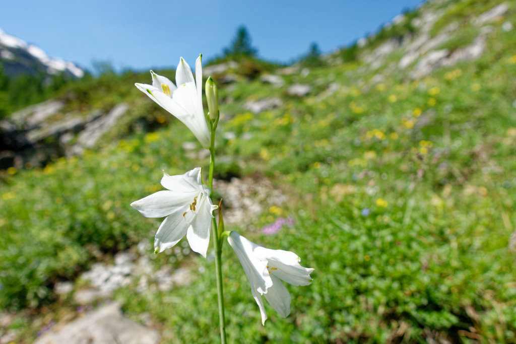 Gîte de Dorbon (24.06.2023)