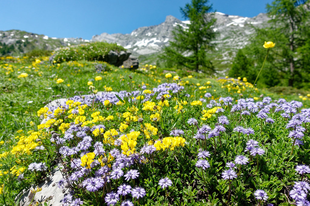 Gîte de Dorbon (24.06.2023)