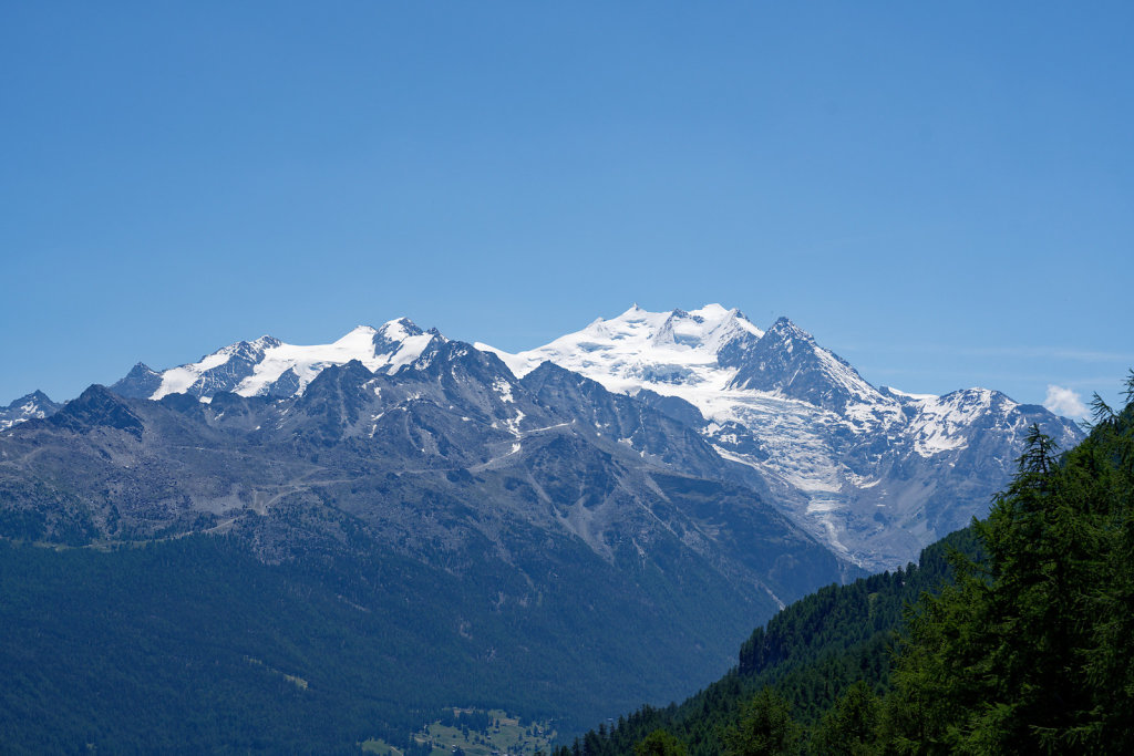 Eischoll, Moosalp (25.06.2023)