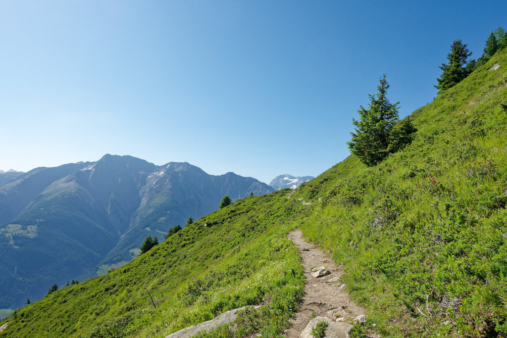 Riederalp, Riederhorn (09.07.2023)