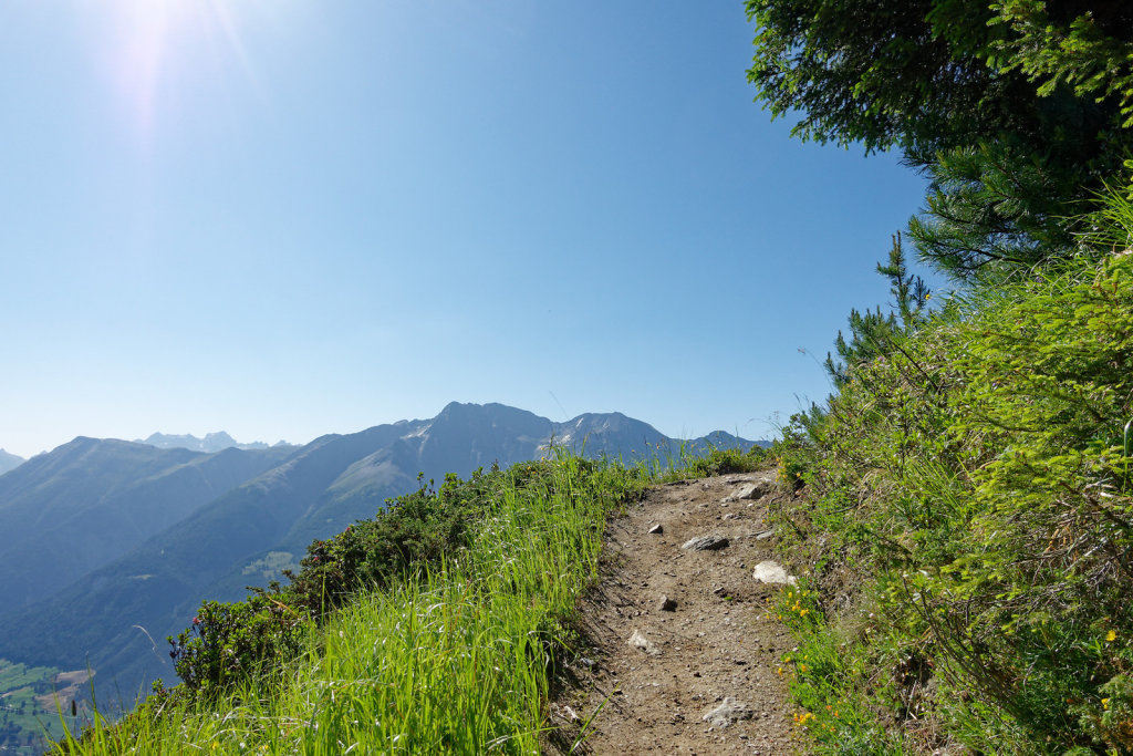 Riederalp, Riederhorn (09.07.2023)