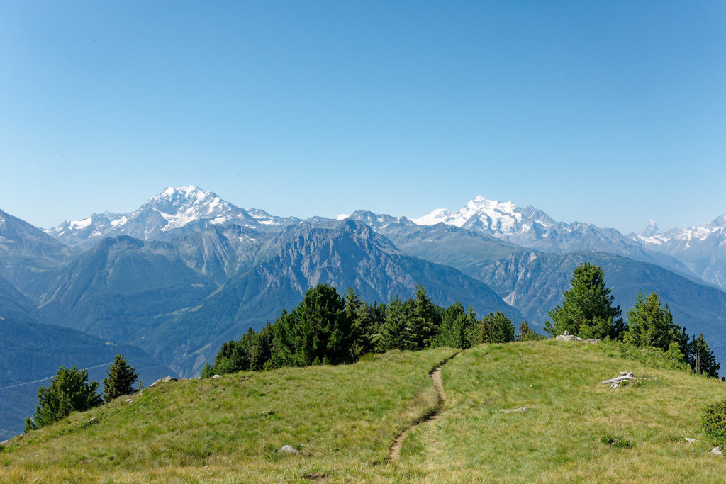 Riederalp, Riederhorn (09.07.2023)