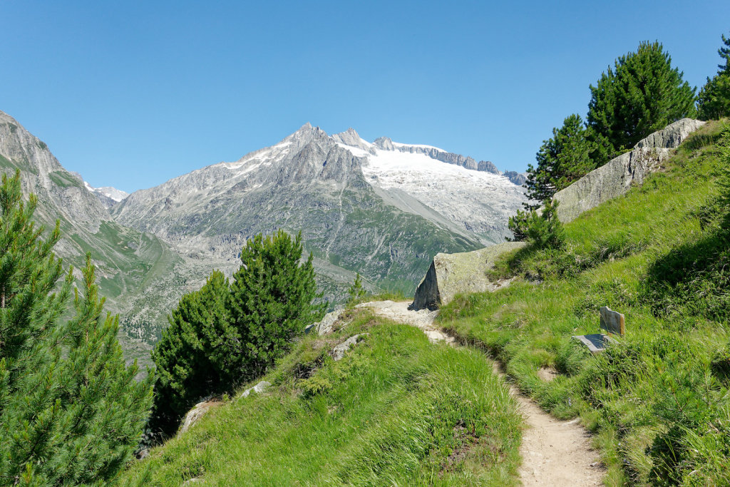 Riederalp, Riederhorn (09.07.2023)