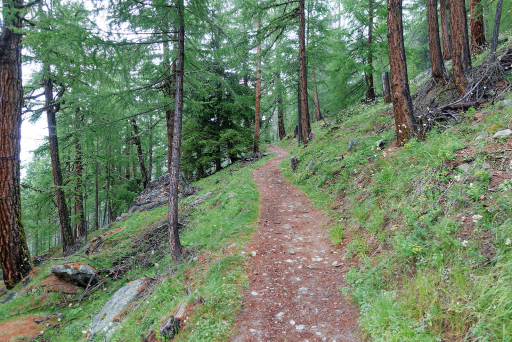 Hängebrücke, Europahütte (13.07.2023)