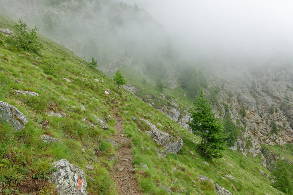 Hängebrücke, Europahütte (13.07.2023)