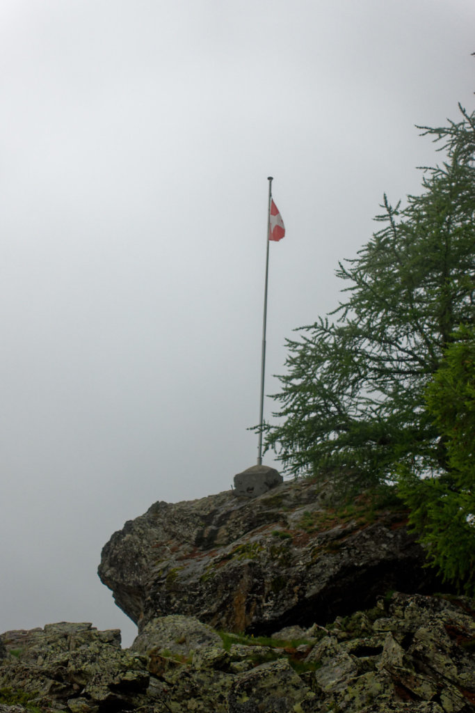 Hängebrücke, Europahütte (13.07.2023)