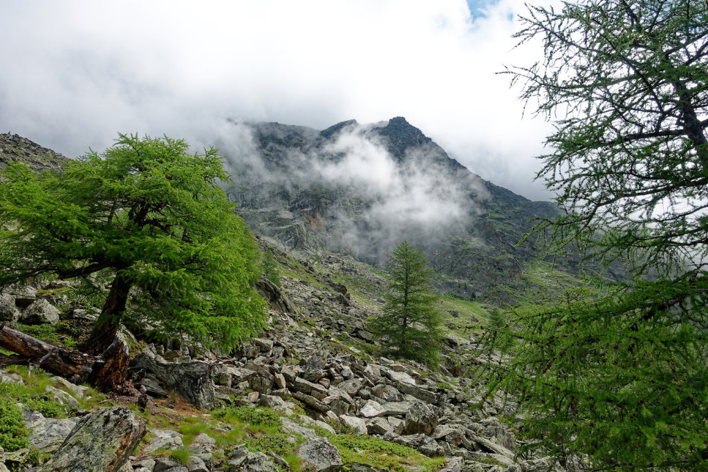 Hängebrücke, Europahütte (13.07.2023)