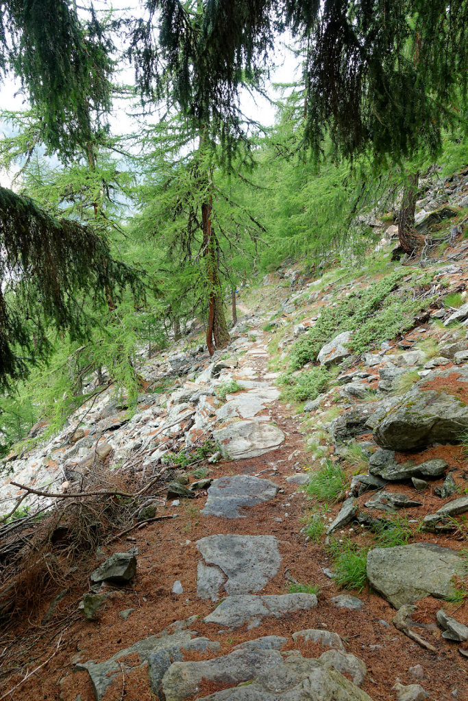 Hängebrücke, Europahütte (13.07.2023)
