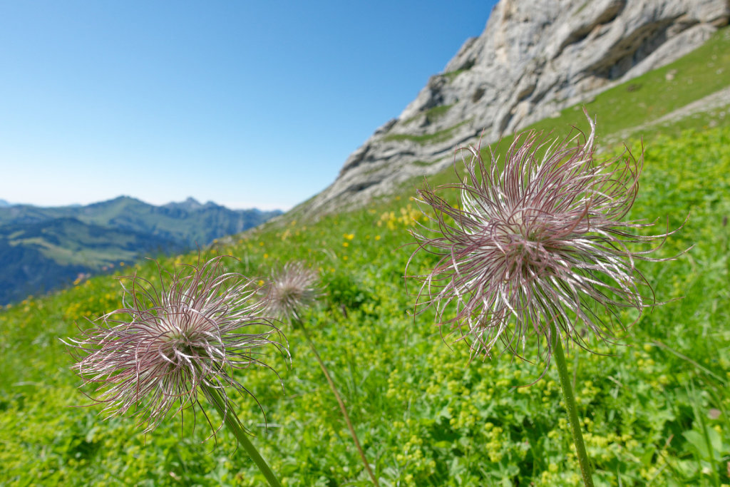 Sanetsch (27.07.2023)