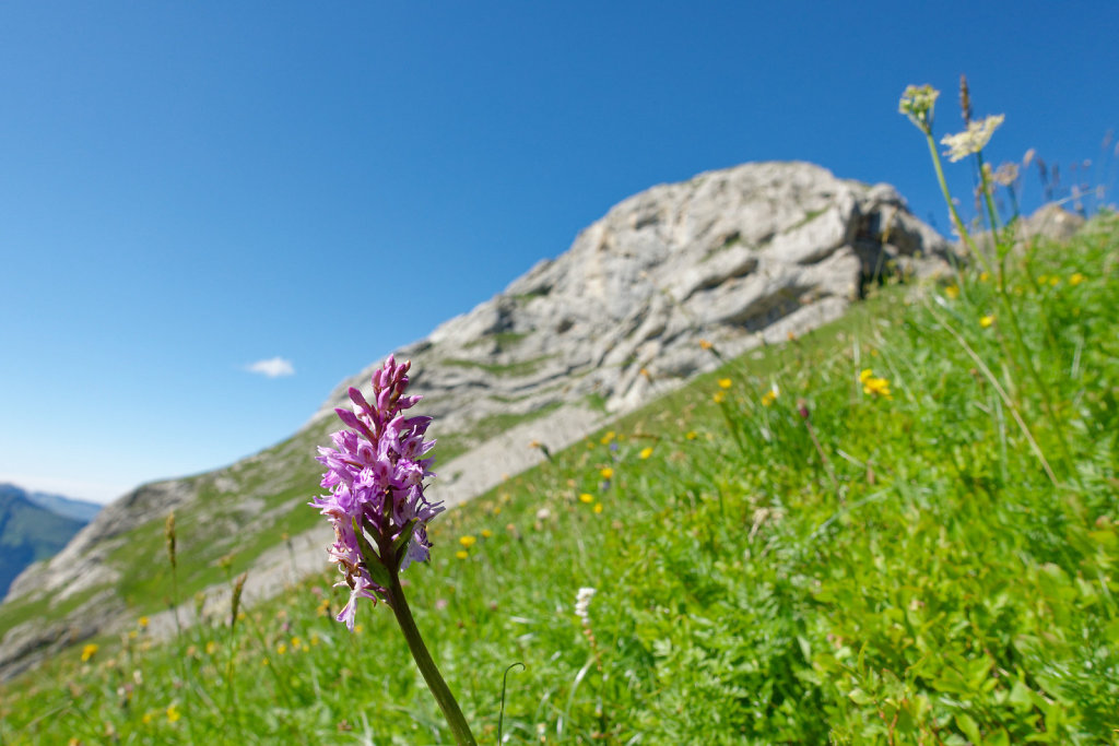 Sanetsch (27.07.2023)