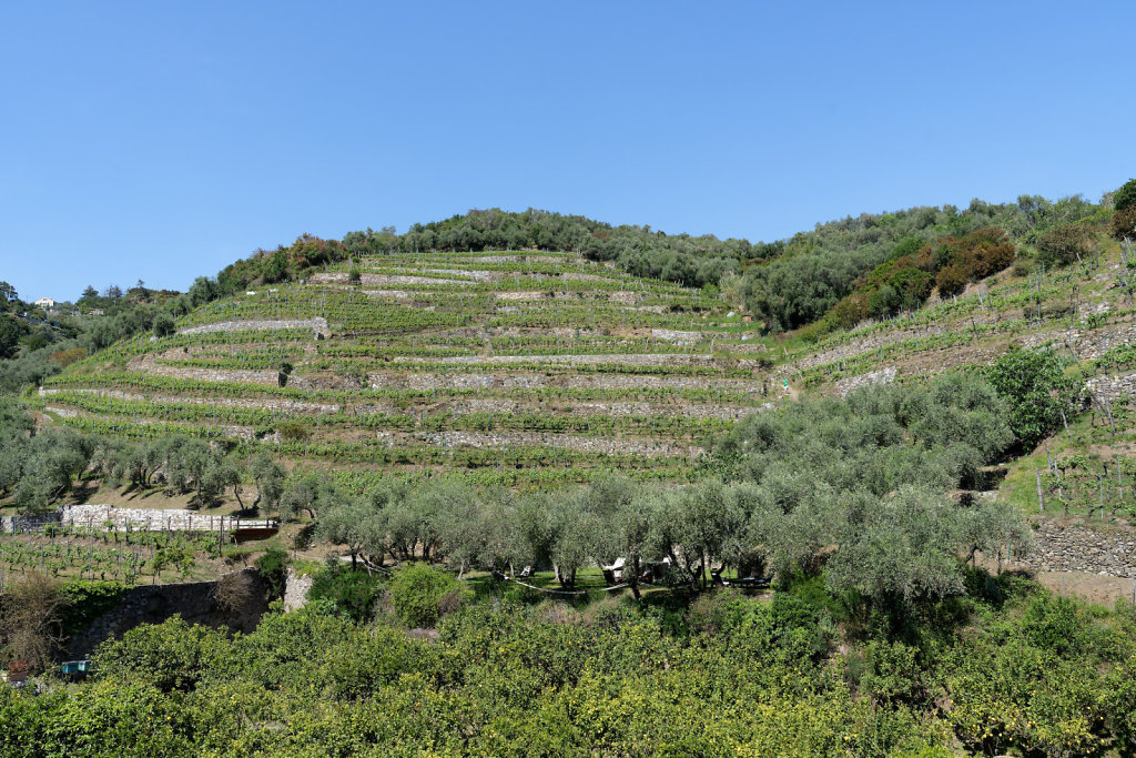 Italie (2023)