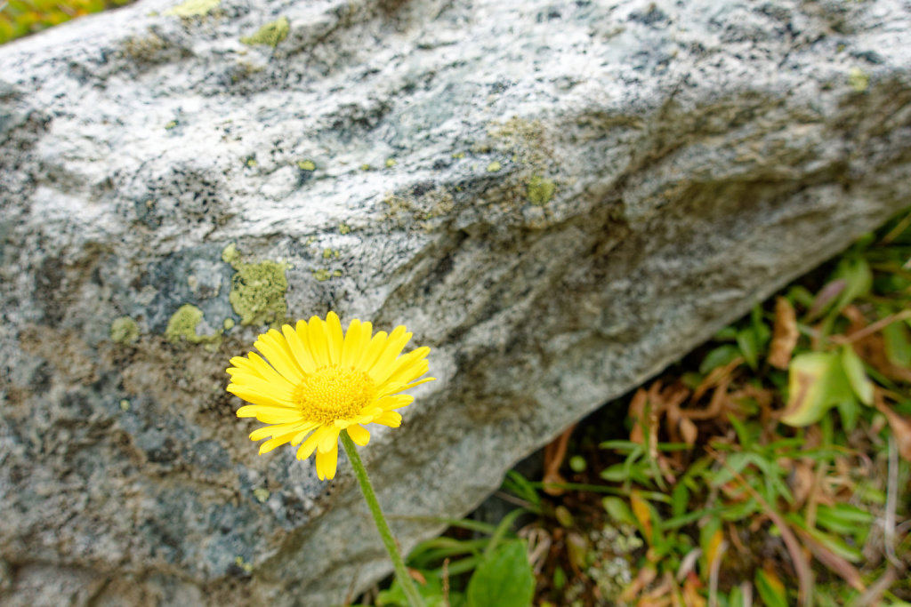 Cabane de Moiry (17.09.2023)