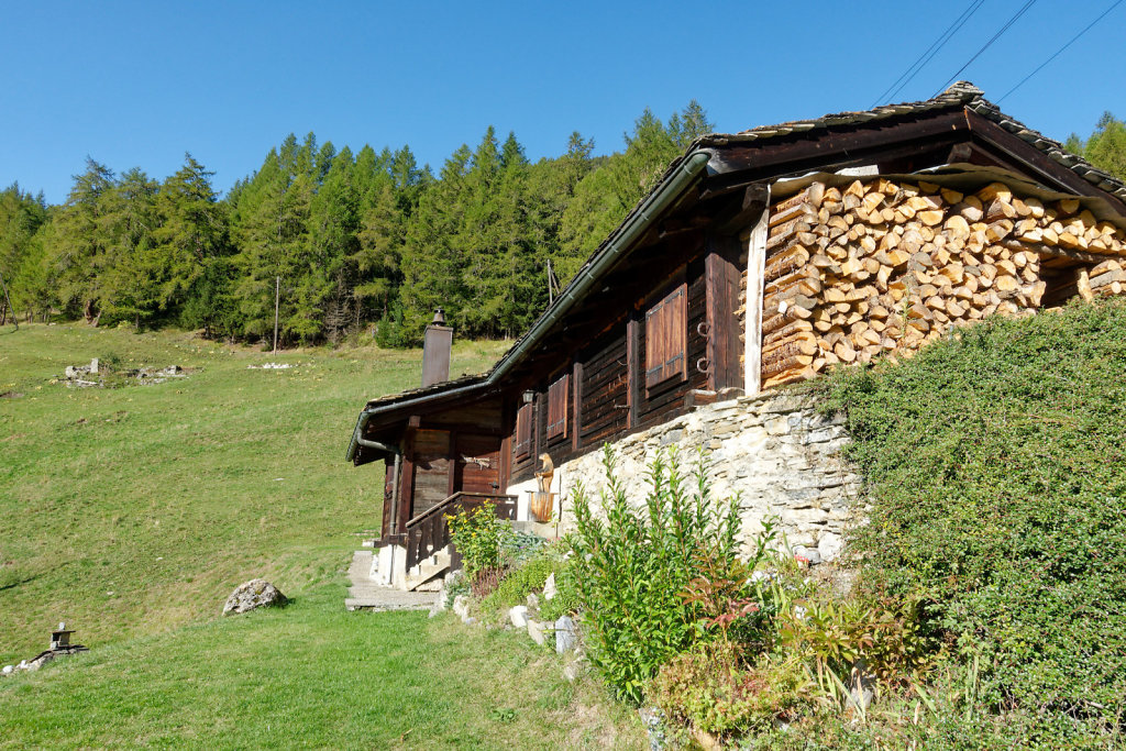 Tsissette (24.09.2023)