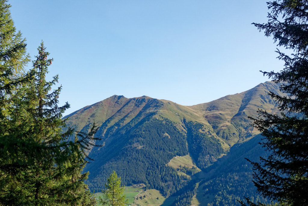 Tsissette (24.09.2023)