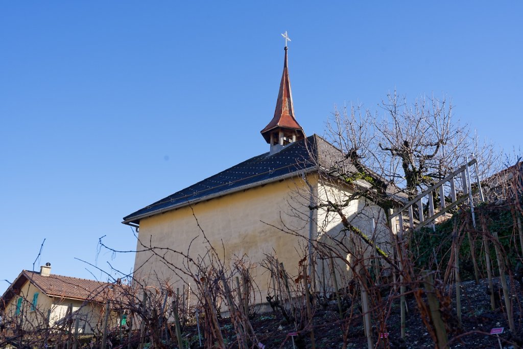 Mayens de Conthey, Scé du Pertuis (03.01.2024)