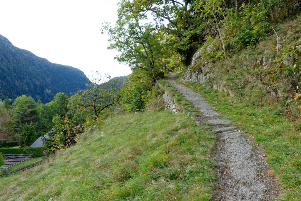 Marécottes, Finhaut (29.10.2023)