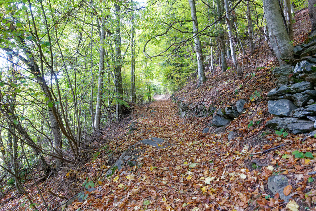 Marécottes, Finhaut (29.10.2023)