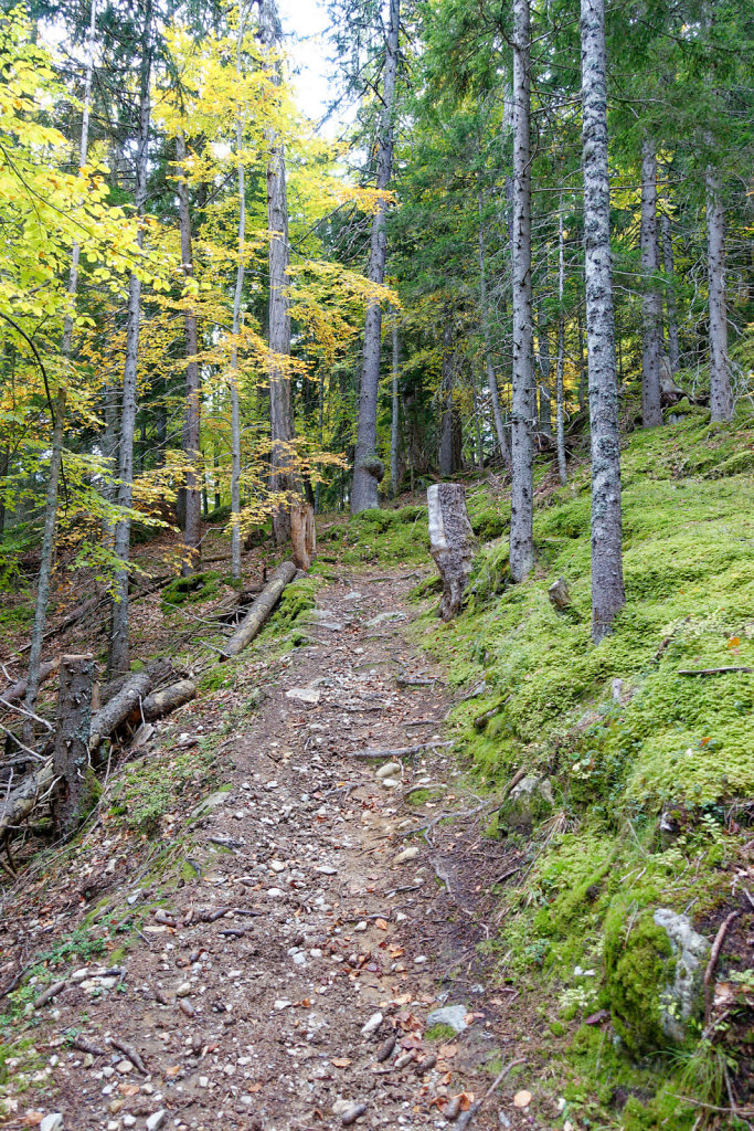 Marécottes, Finhaut (29.10.2023)