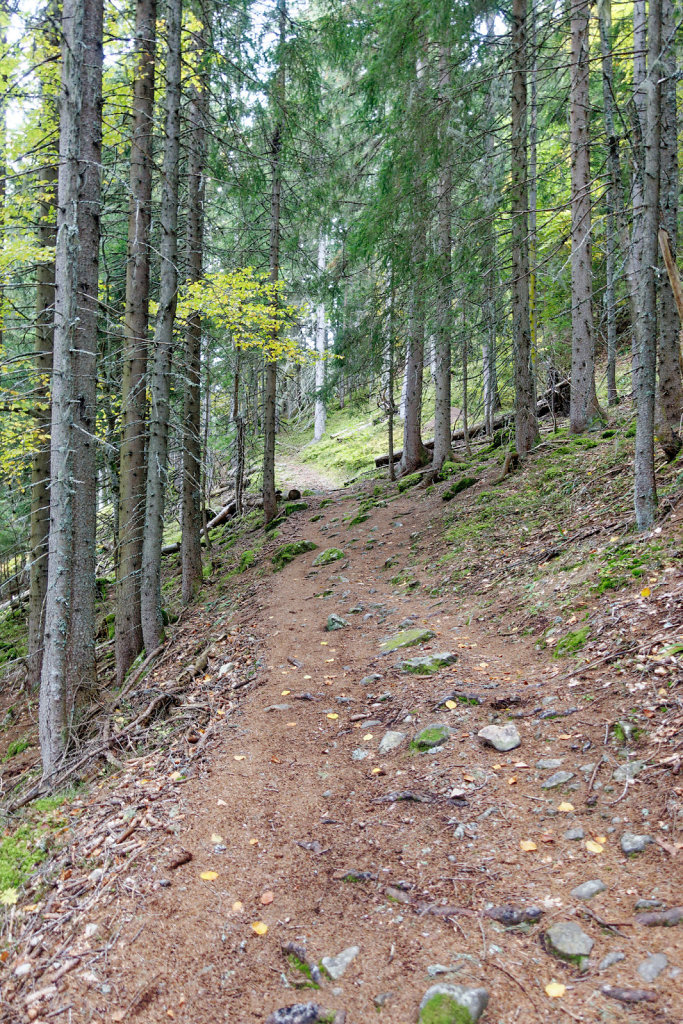 Marécottes, Finhaut (29.10.2023)