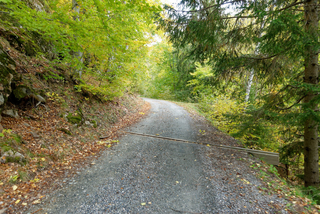 Marécottes, Finhaut (29.10.2023)