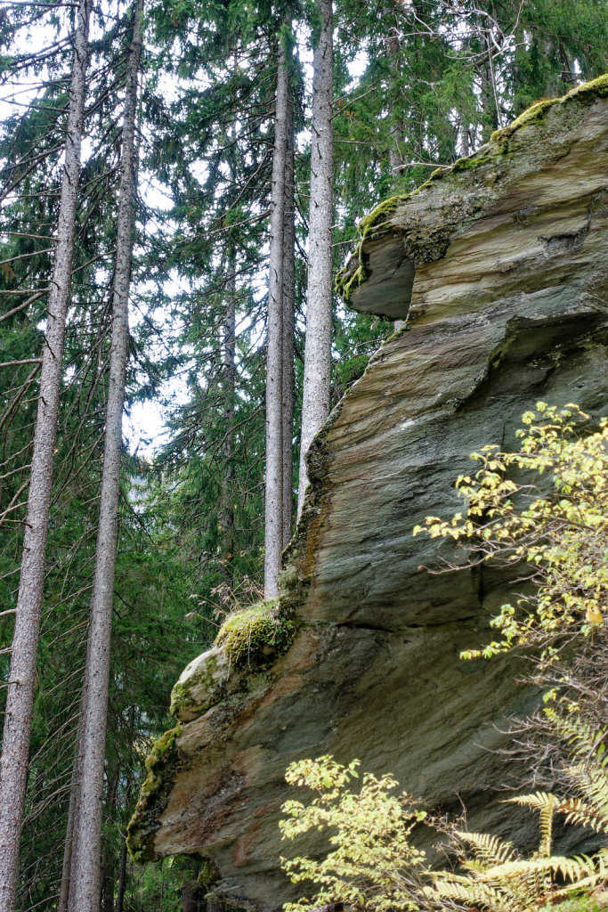 Marécottes, Finhaut (29.10.2023)