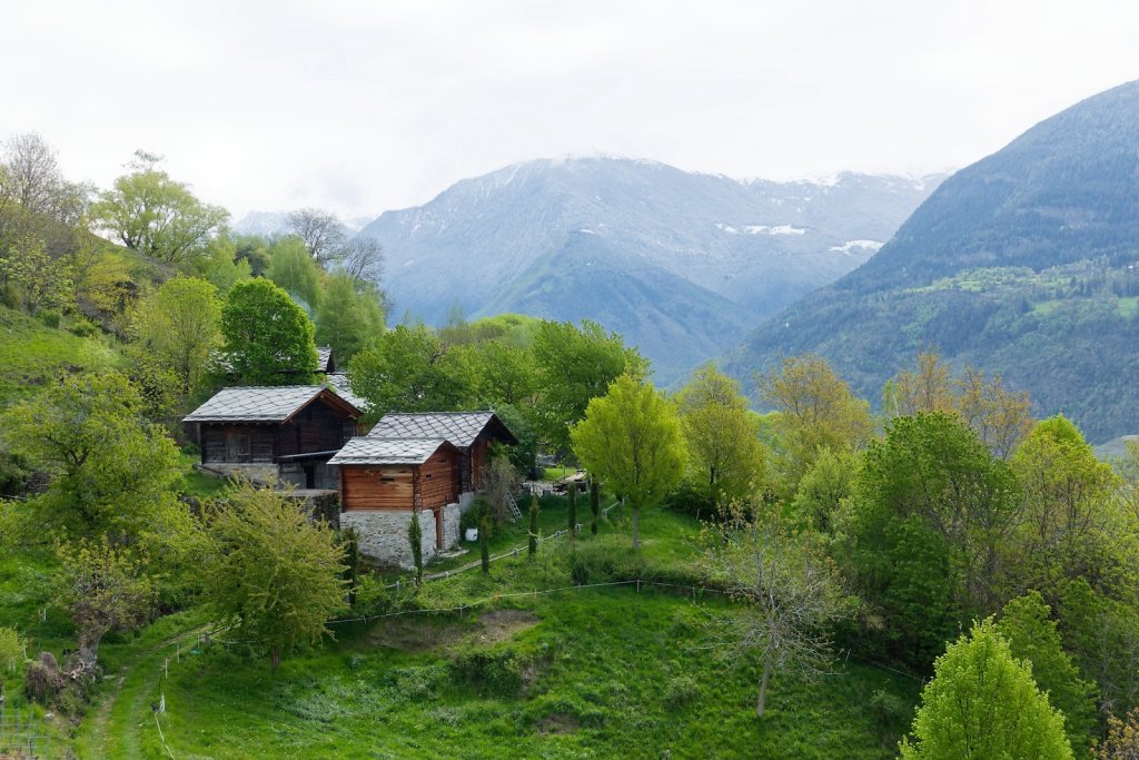 Raron, St-German, Ausserberg (23.04.2024)