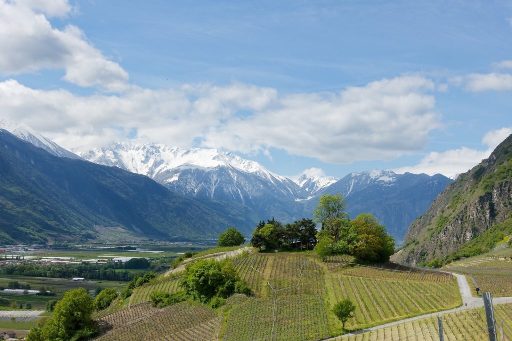 Saillon, Passerelle à Farinet (25.04.2024)